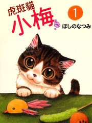 虎斑猫小梅